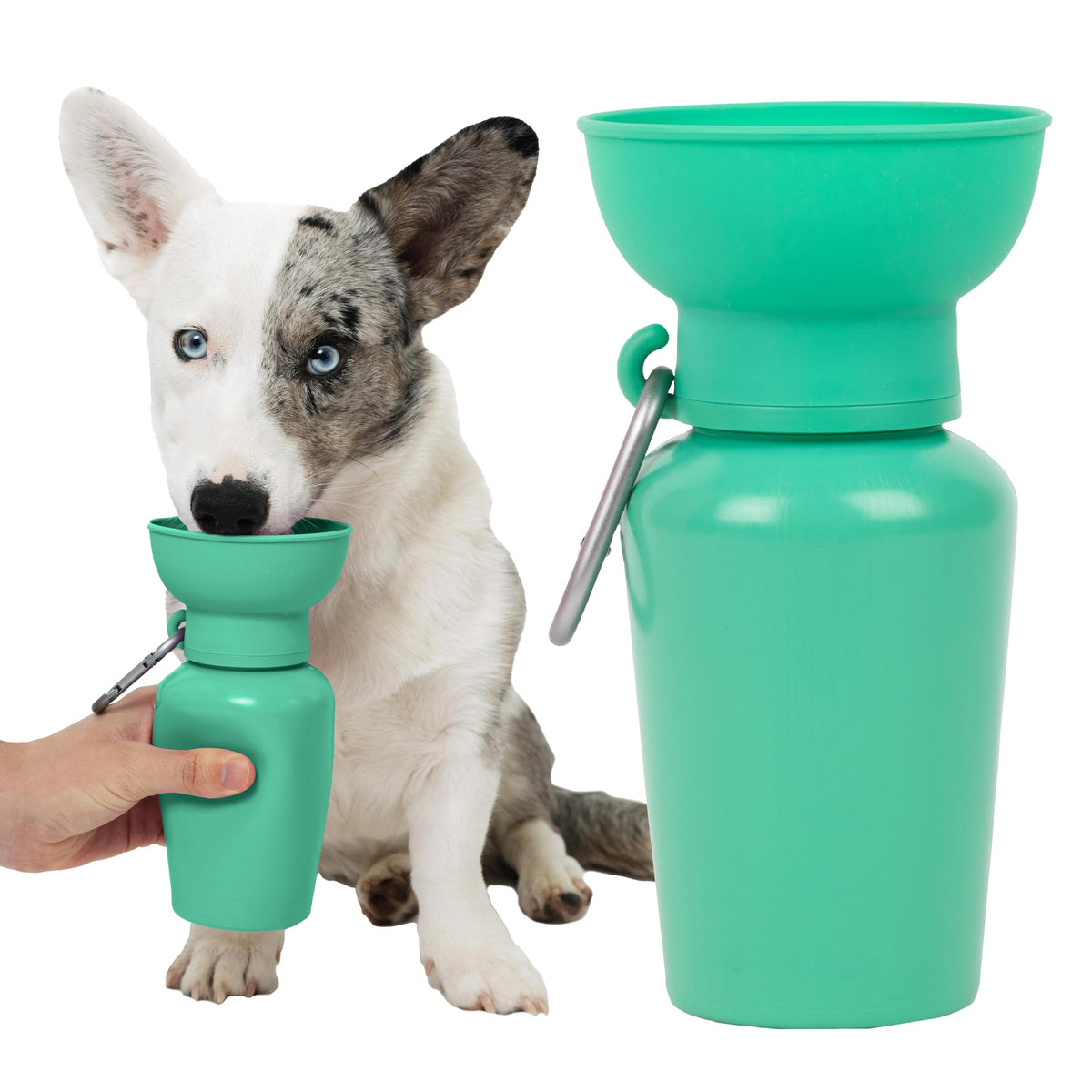 Springland 15oz Classic Portable Dog Water Bottle with Built-in Bowl, Lilac