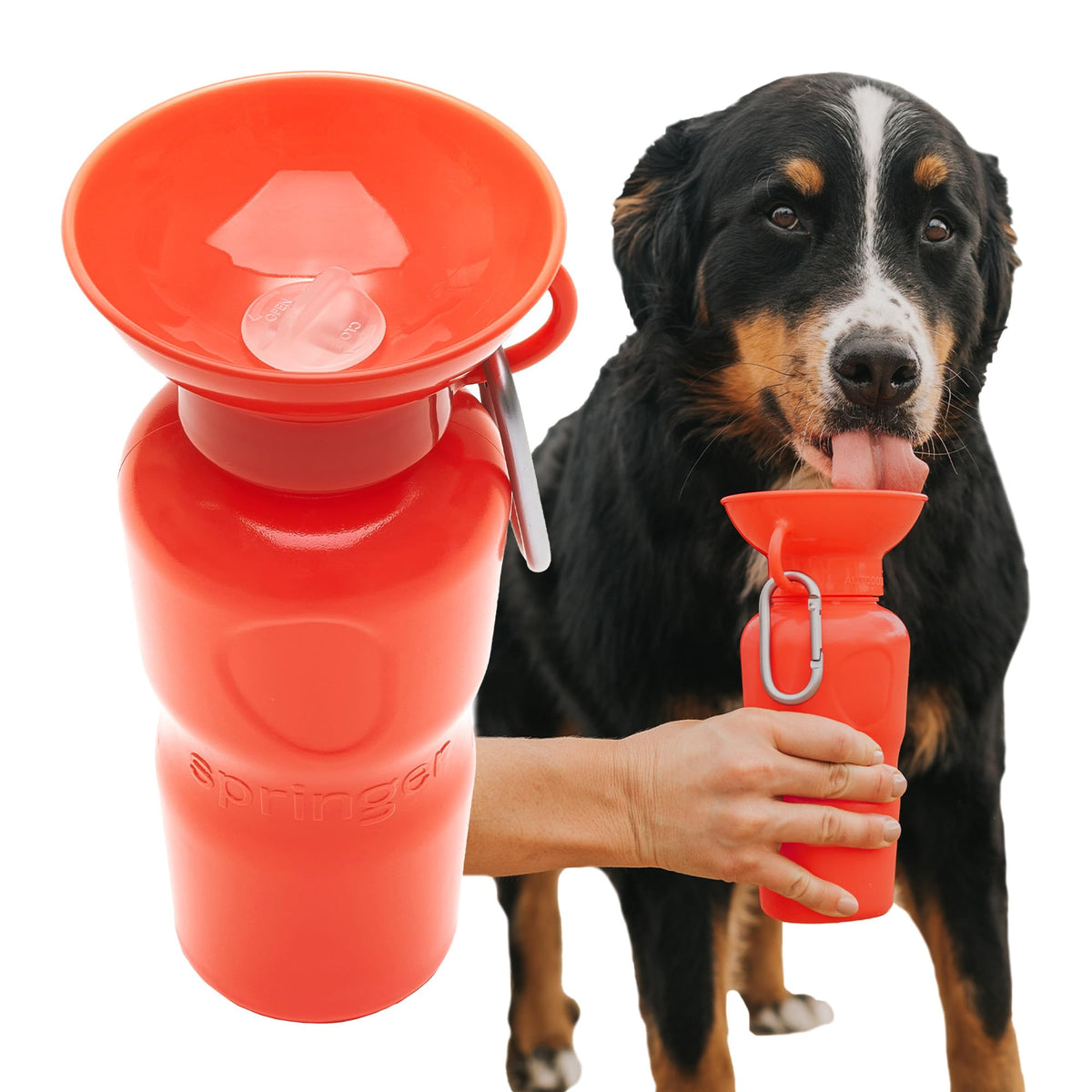 Springland 15oz Classic Portable Dog Water Bottle with Built-in Bowl, Lilac