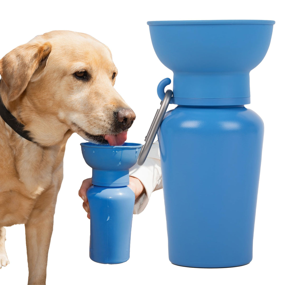 Springland 15oz Classic Portable Dog Water Bottle with Built-in Bowl, Lilac
