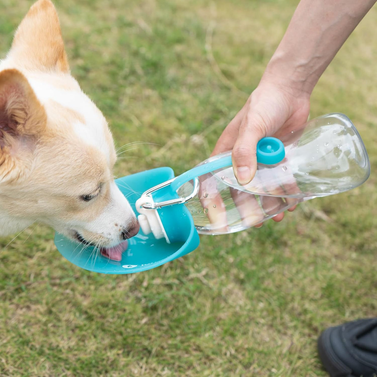 LumoLeaf Dog Water Bottle for Walking, Portable Pet Water Dispenser with Foldable Leaf Bowl – Lightweight Travel Bottle for Small & Medium Dogs, 20 fl oz