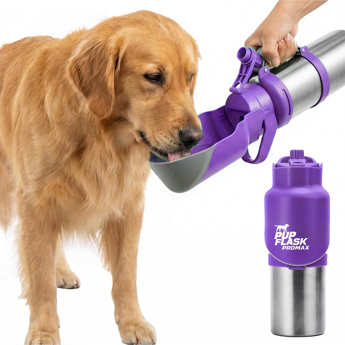 PupFlask Pro Portable Insulated Dog Water Bottle, Stainless Steel Bowl
