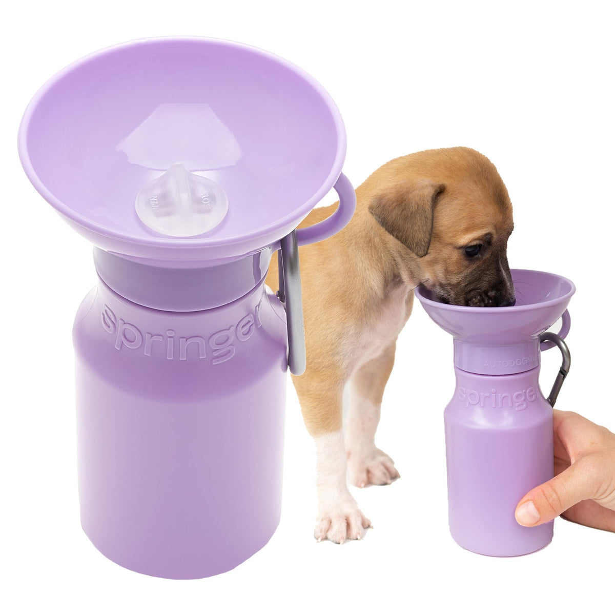Springland 15oz Classic Portable Dog Water Bottle with Built-in Bowl, Lilac