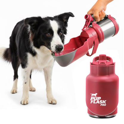 PupFlask Pro Portable Insulated Dog Water Bottle, Stainless Steel Bowl