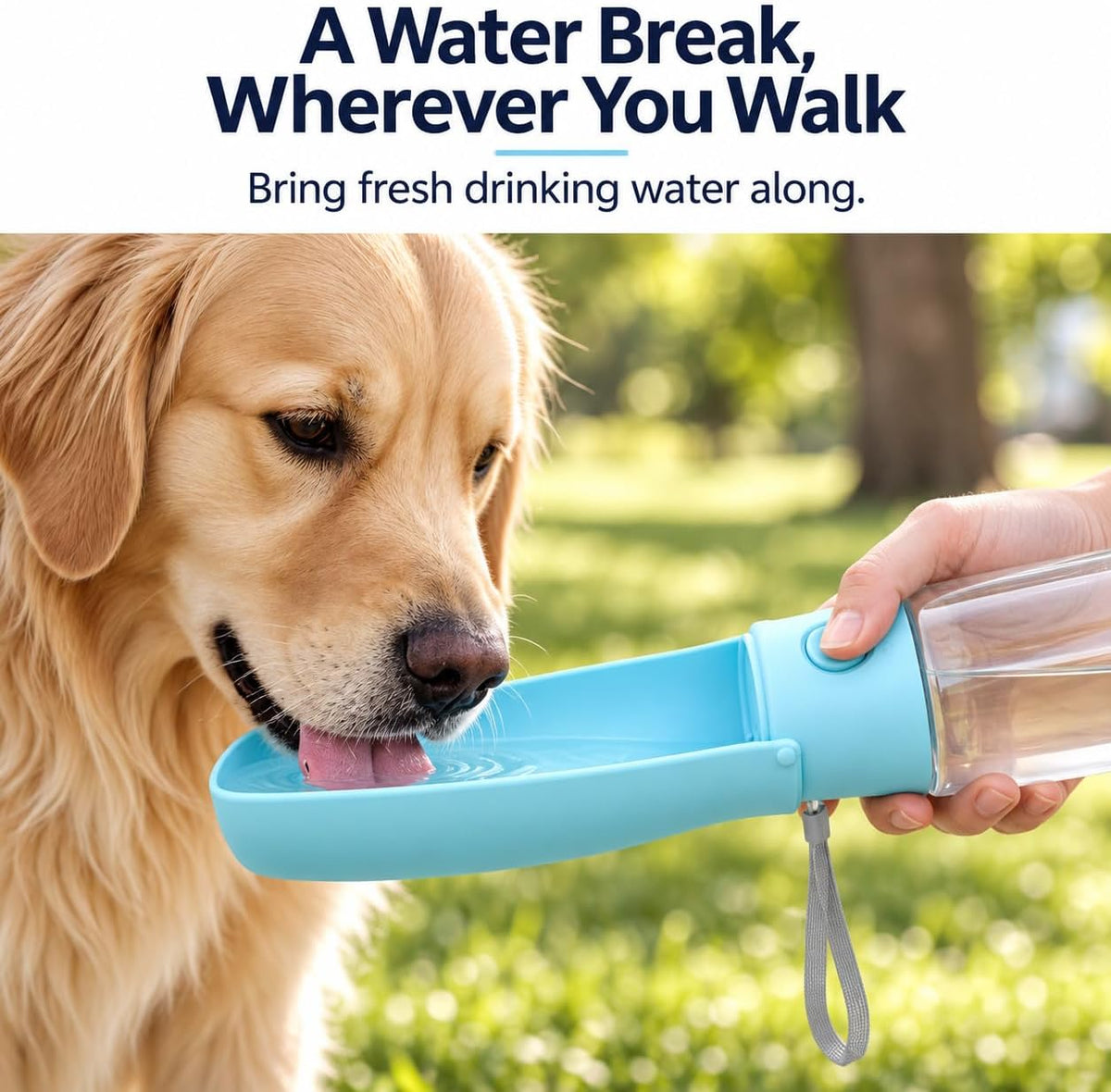 Portable Dog Water Bottle 19oz Blue