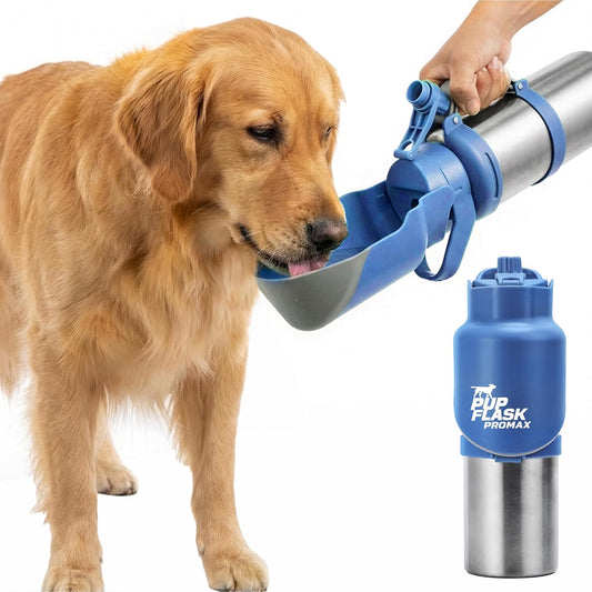 PupFlask Pro Portable Insulated Dog Water Bottle, Stainless Steel Bowl