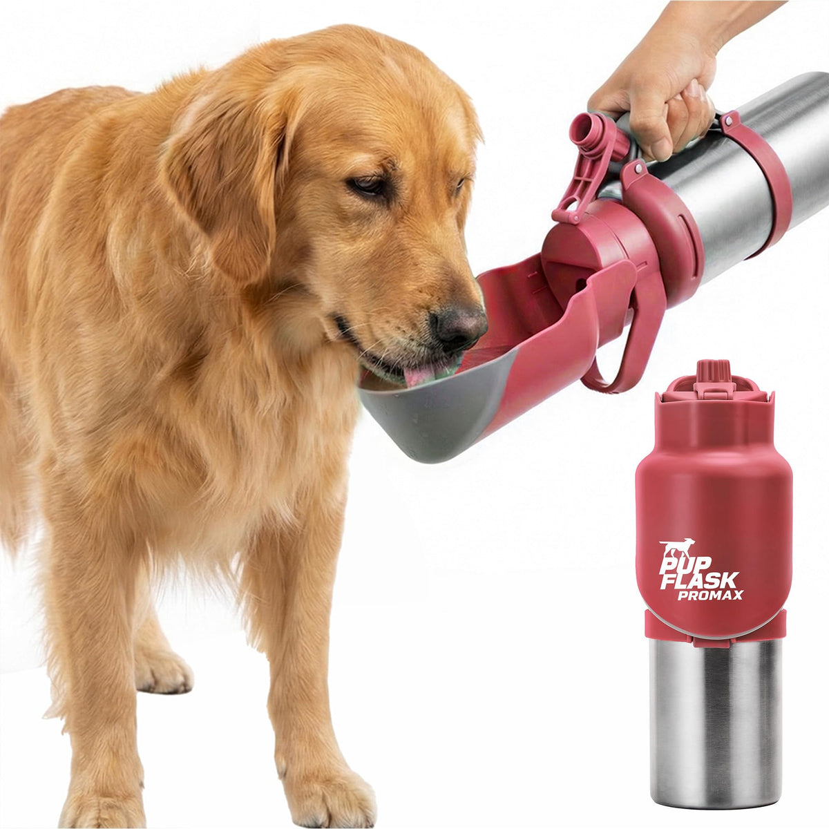 PupFlask Pro Portable Insulated Dog Water Bottle, Stainless Steel Bowl