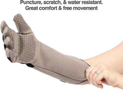 PetFusion Multipurpose Pet Glove for Grooming, Grey