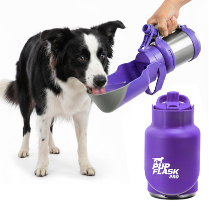 PupFlask Pro Portable Insulated Dog Water Bottle, Stainless Steel Bowl