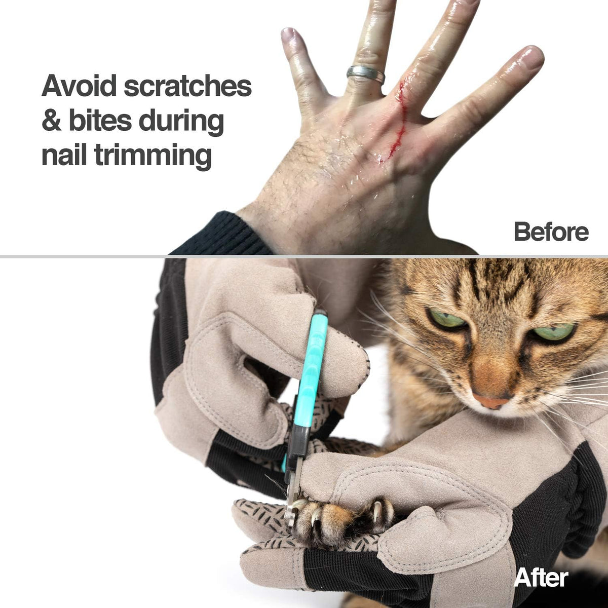 PetFusion Multipurpose Pet Glove for Grooming, Grey