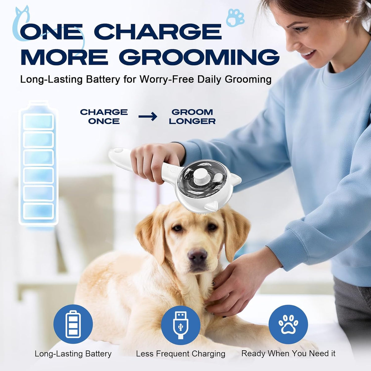 Pet Steam Brush Anti-static Self-Cleaning Mist Comb Dog Cat Grooming