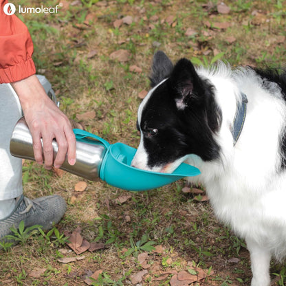LumoLeaf Portable Dog Water Bottle 27 OZ, Stainless Steel Pet Travel Water Bottle Dispenser for Walking, Hiking and Outdoor, Portable Water Bowl for Large Dogs (Blue)