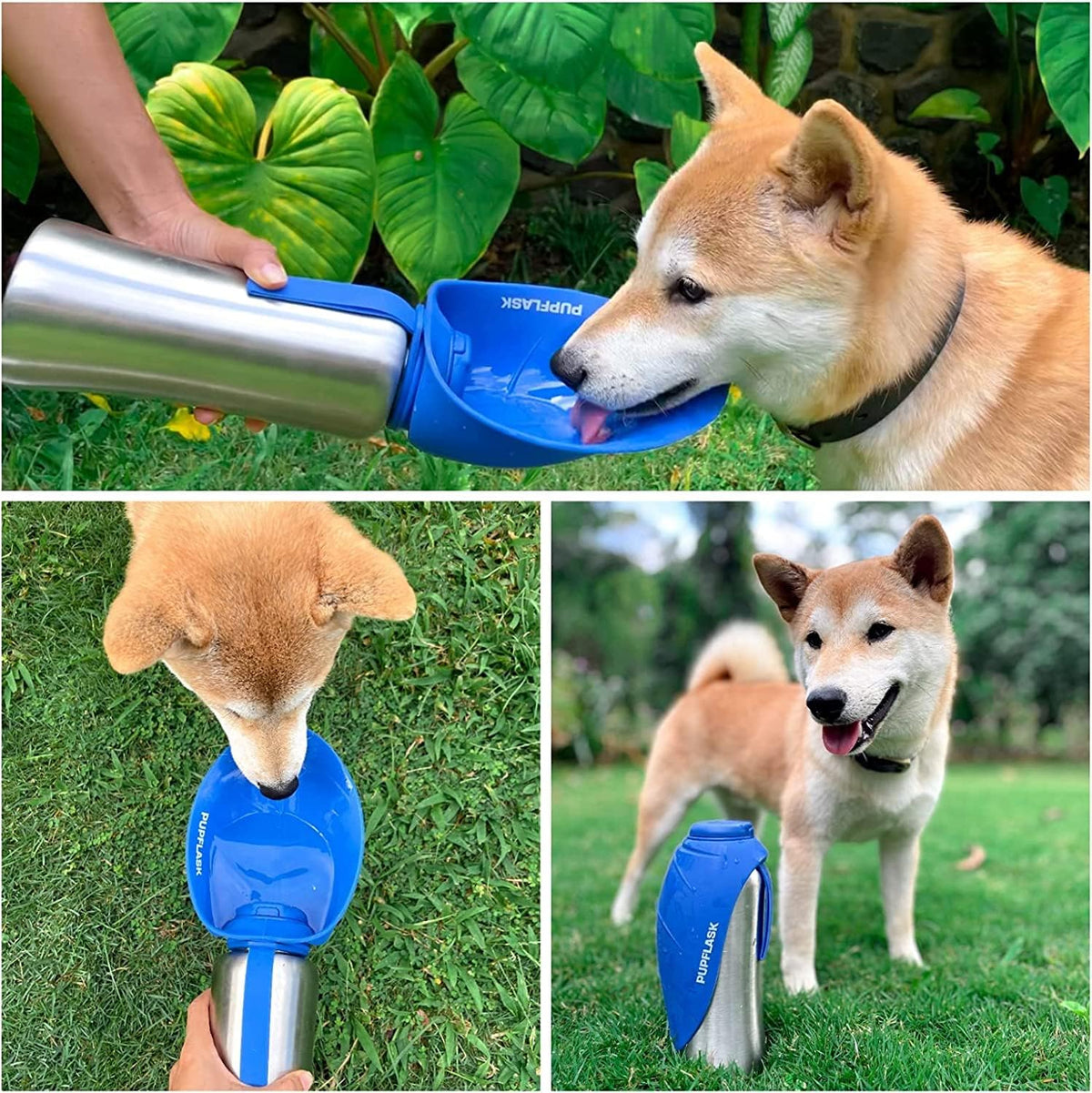 PupFlask Large Dog Water Bottle, Portable Stainless Steel Travel Bowl