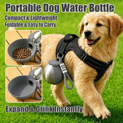 2 in 1 Portable Dog Water Bottle with Foldable Bowl 10oz Gray