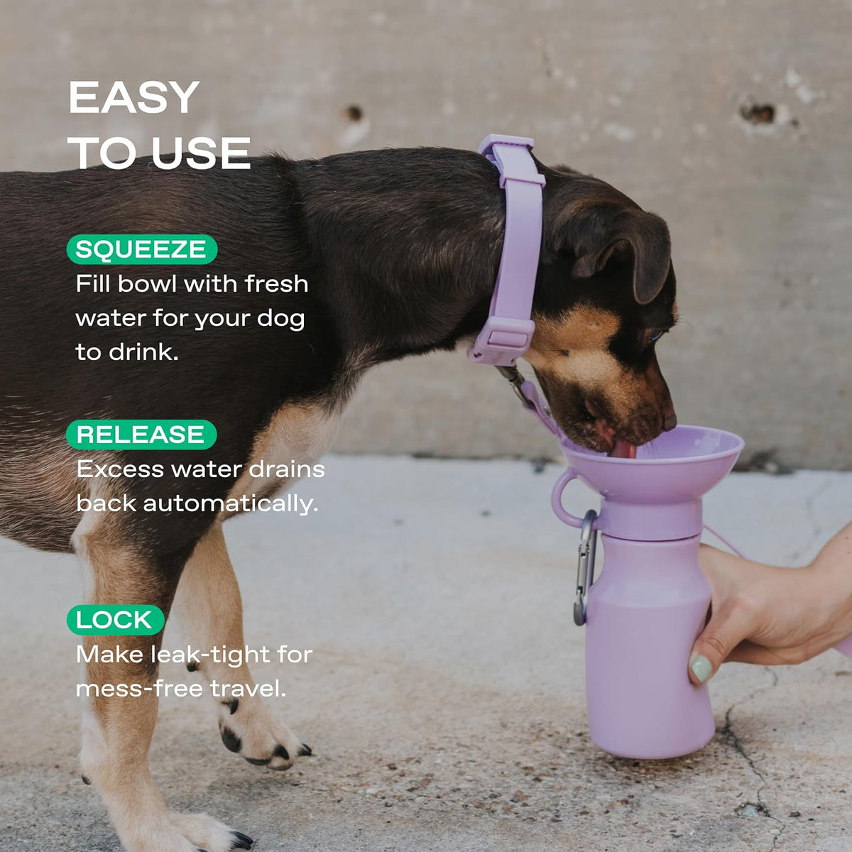 Springland 15oz Classic Portable Dog Water Bottle with Built-in Bowl, Lilac