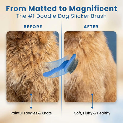 Slicker Brush for Dogs, Pet Grooming Brushes for Doodles & Poodles, Large