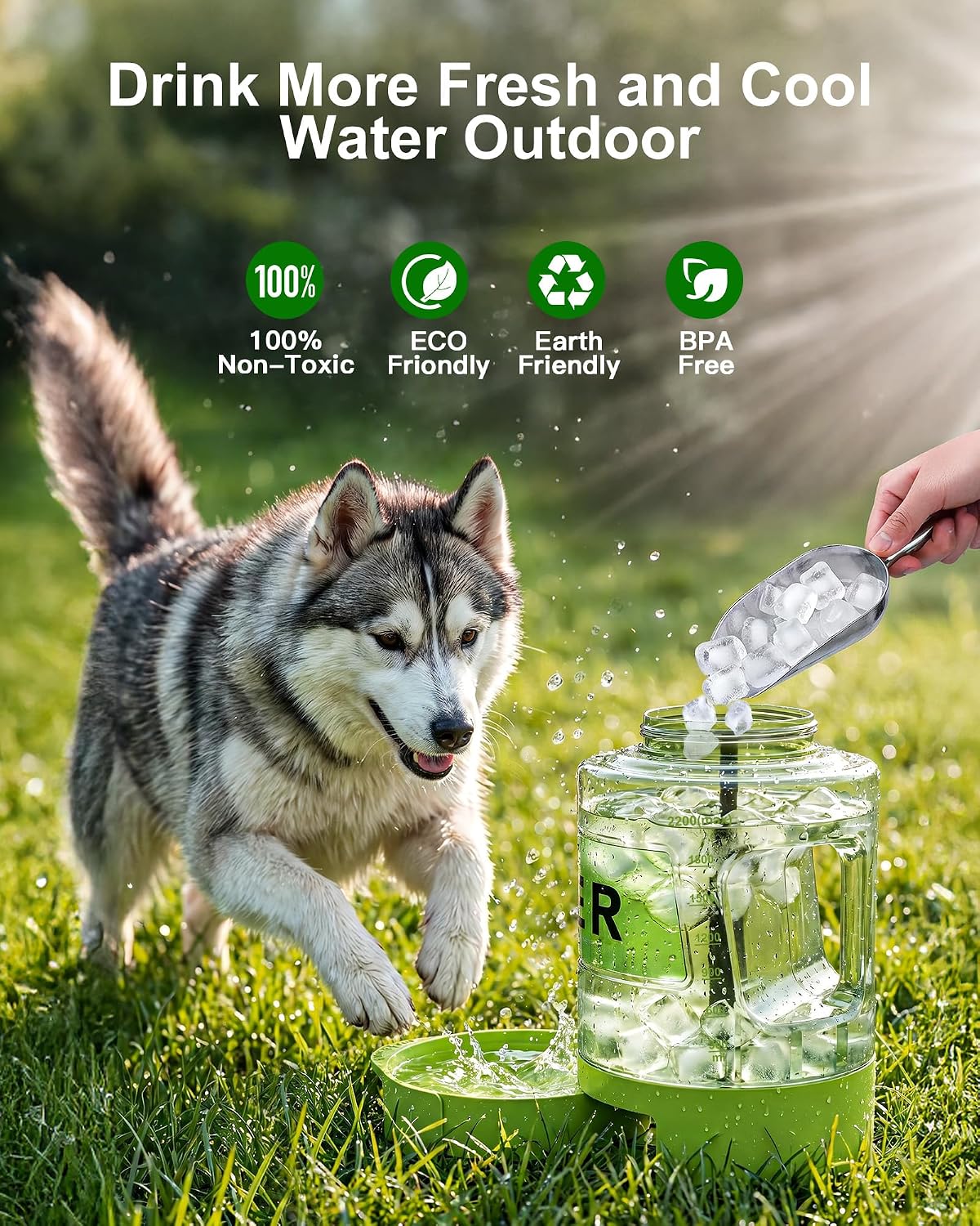 77 oz Portable Dog Water Bottle, 2.2L Dog Travel Water Dispenser Olive Green