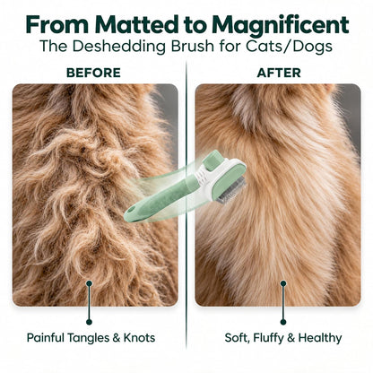 Premium Deshedding Slicker Brush for Cats & Dogs Grooming – Detangles Knots & Mats, Skin-Gentle Rounded Tips, Flexible Neck Reduces Wrist Fatigue, One-Click Fur Release, Medium & Long Hair