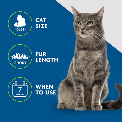 FURminator Medium to Large Cat deShedding Tool for Short Hair