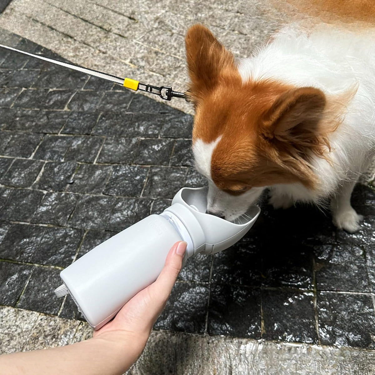 Portable Dog Water Bottle, Collapsible Water Bottle for Dogs Perfect for Walking, Hiking and Outdoors, Pet Drink Cup, Foldable Pet Travel Bowl with Wide Mouth Design, Leak Proof, Gray, 18.6oz/550ml