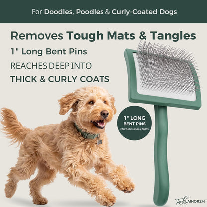 Doodle Slicker Brush for Dogs, Brush for Curly & Wavy Coats, Large