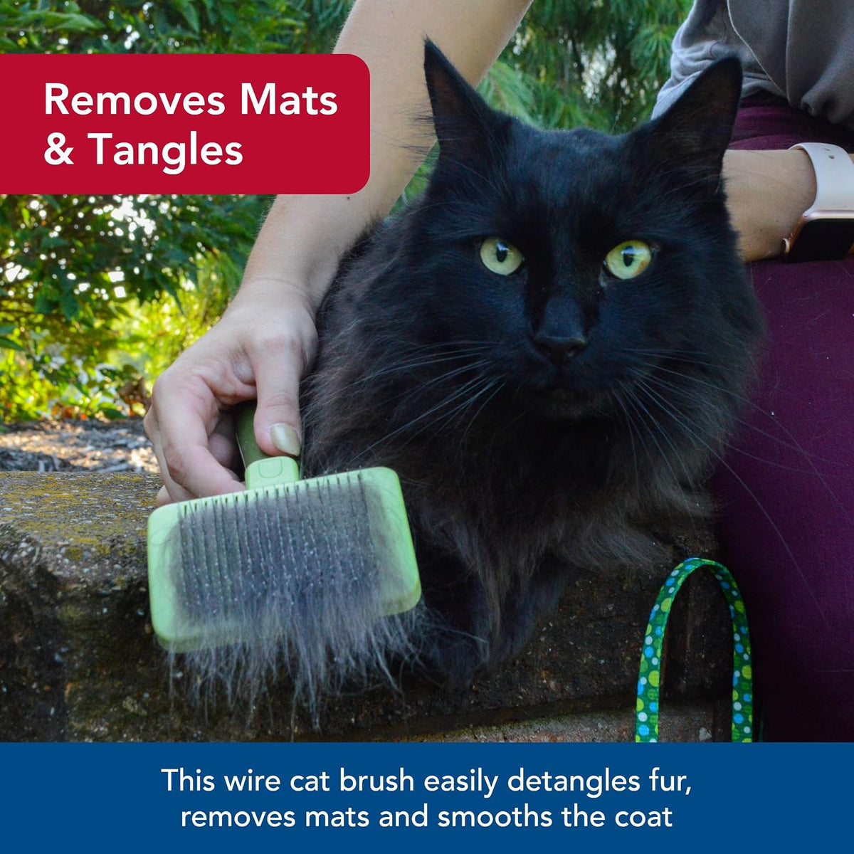 Coastal Pet Safari Cat Self Cleaning Slicker Brush, Cat Grooming Supplies